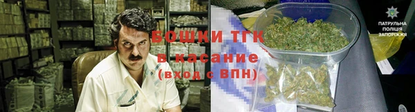 apvp Горняк