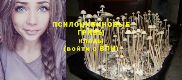 амф Горнозаводск