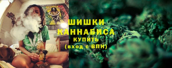 apvp Горняк
